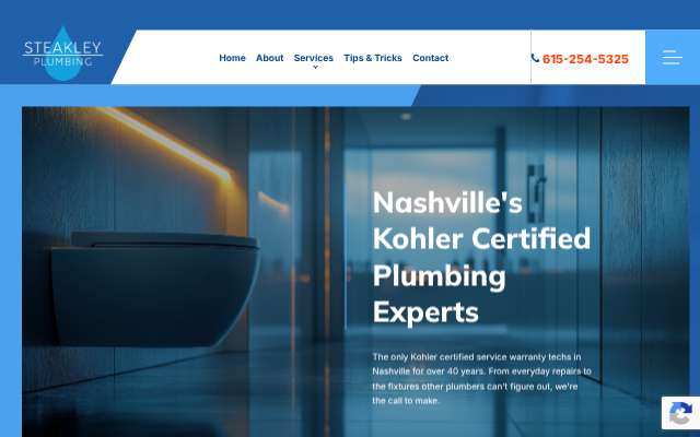 Steakley Plumbing's page as the assistant saw it