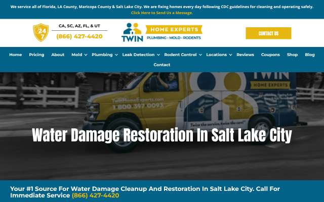 Page cited for Twin Home Experts