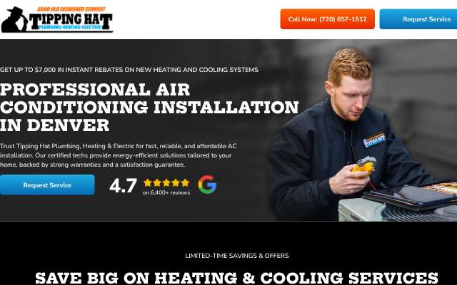 Tipping Hat Plumbing, Heating & Electric's page as the assistant saw it