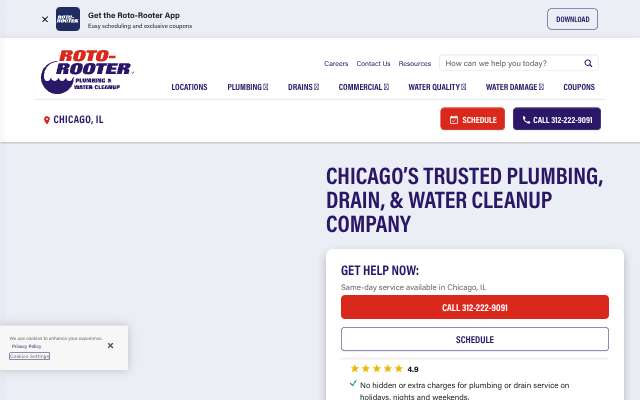 Roto-Rooter Plumbing & Water Cleanup of Chicago's page as the assistant saw it
