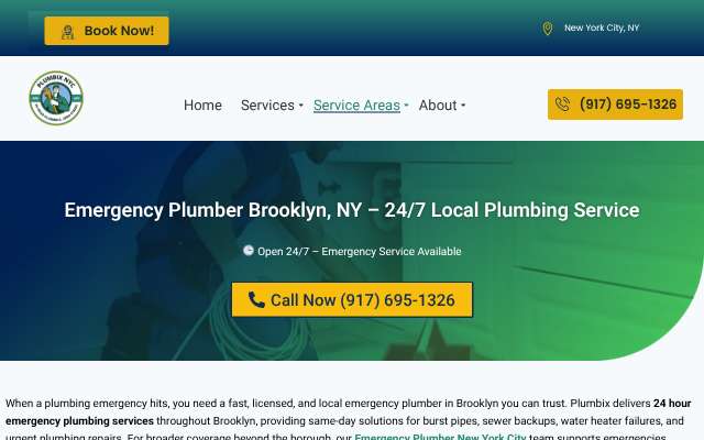 Page cited for Plumbix Plumbing