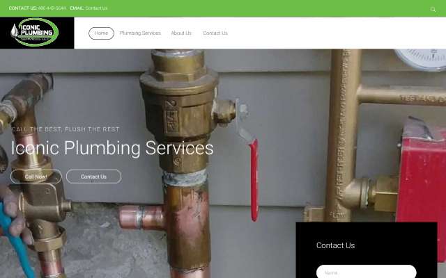 Iconic Plumbing Services's page as the assistant saw it
