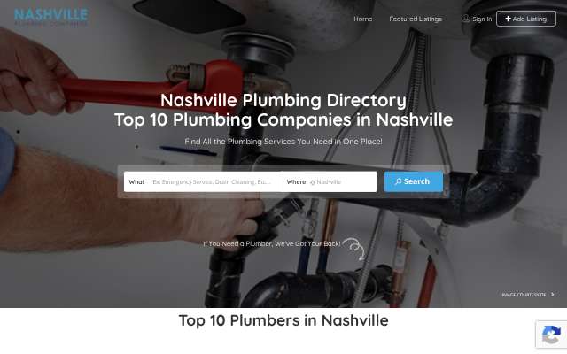 Nashville Plumbing Services's page as the assistant saw it