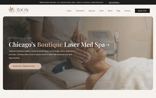 Skin Laser Chicago (Skin Laser and MedSpa)'s page as the assistant saw it