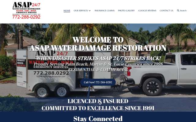 ASAP Water Damage Restoration's page as the assistant saw it
