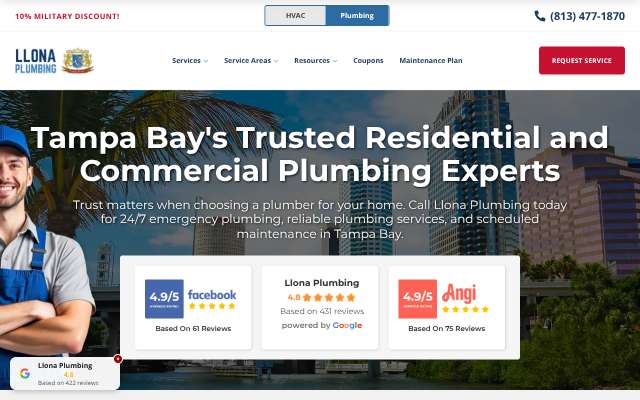 Llona Plumbing's page as the assistant saw it
