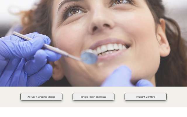 TITANIUM Dental's page as the assistant saw it