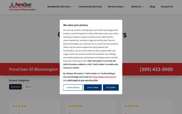 PuroClean of Bloomington's page as the assistant saw it