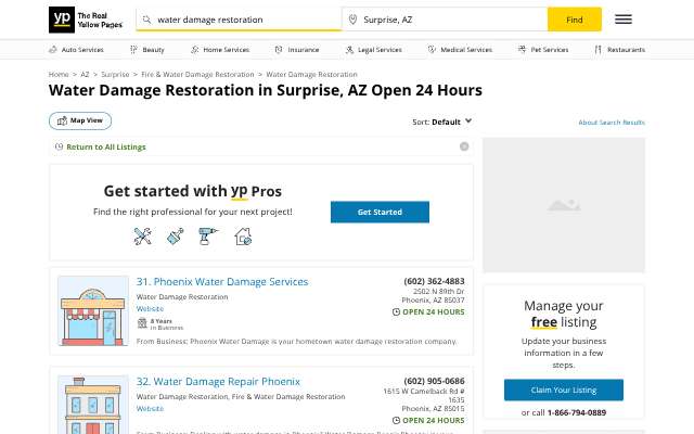 Premier 1 Restoration's page as the assistant saw it