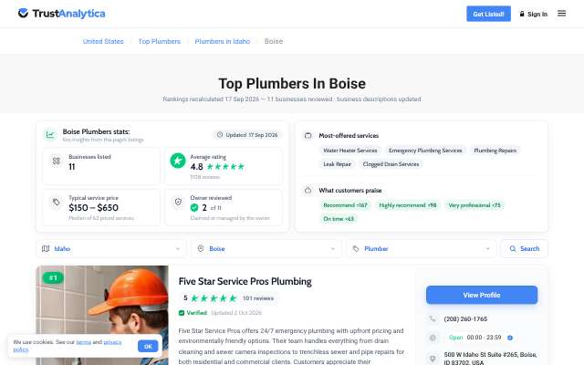 Five Star Service Pros Plumbing's page as the assistant saw it