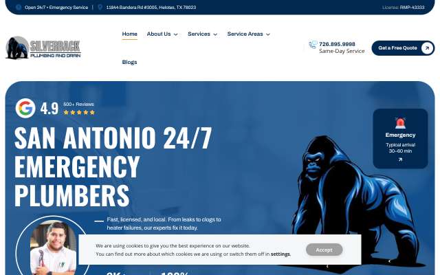Silverback Plumbing and Drain's page as the assistant saw it