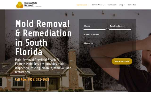 Page cited for Express Mold Services
