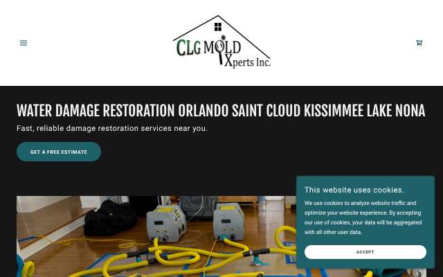 CLG Mold Xperts Inc.'s page as the assistant saw it