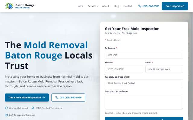 Mold Removal Baton Rouge (moldremovalbatonrouge.net)'s page as the assistant saw it