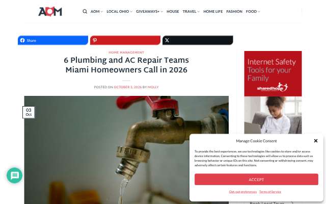 Sunny Bliss Plumbing & Air's page as the assistant saw it