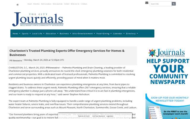 Page cited for Palmetto Plumbing and Drain Cleaning