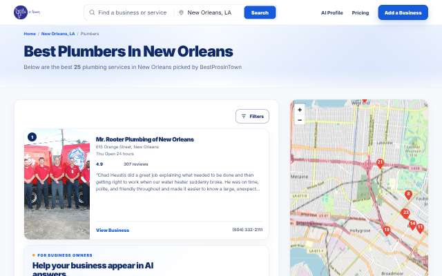 Mr. Rooter Plumbing of New Orleans's page as the assistant saw it
