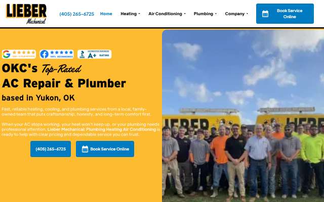 Lieber Mechanical LLC's page as the assistant saw it