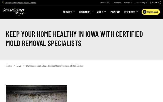 ServiceMaster by Rice (Des Moines)'s page as the assistant saw it