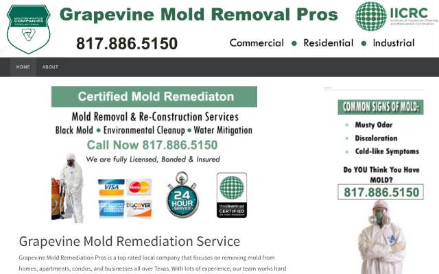 Grapevine Mold Remediation Pros's page as the assistant saw it