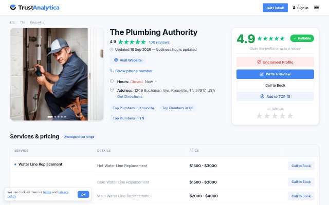 The Plumbing Authority's page as the assistant saw it