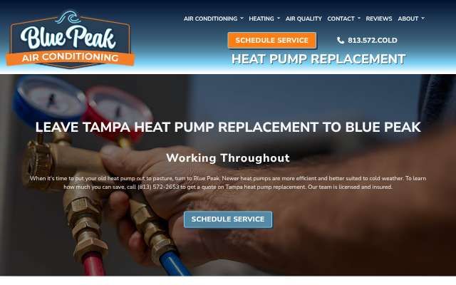 Blue Peak Air Conditioning, LLC's page as the assistant saw it