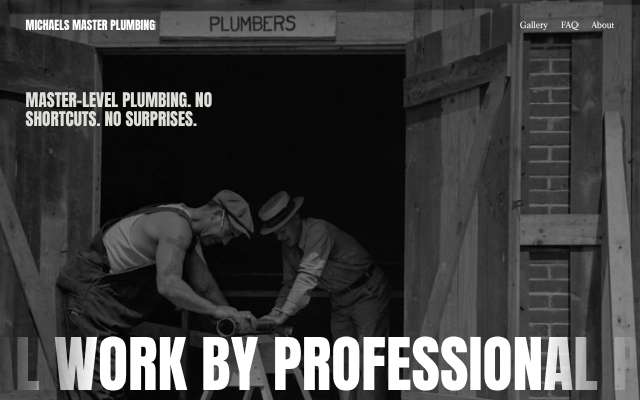Michael's Master Plumbing's page as the assistant saw it