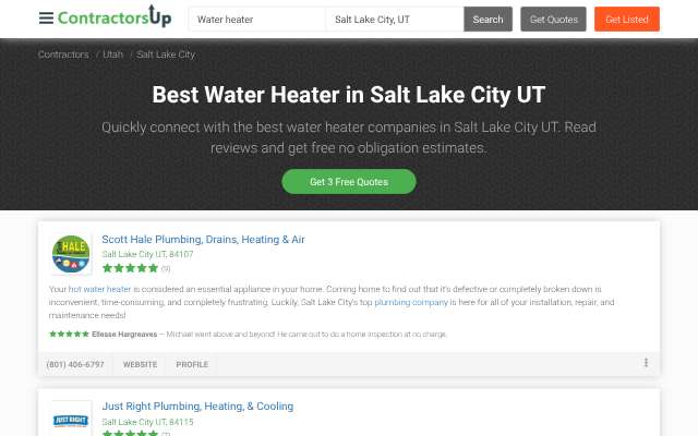 Beehive Plumbing's page as the assistant saw it