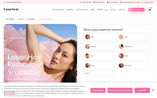 LaserAway Scottsdale's page as the assistant saw it