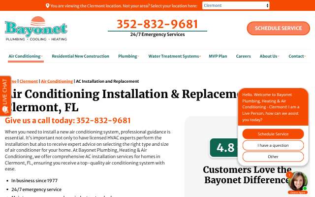 Bayonet Inc's page as the assistant saw it