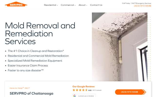 SERVPRO of Chattanooga's page as the assistant saw it