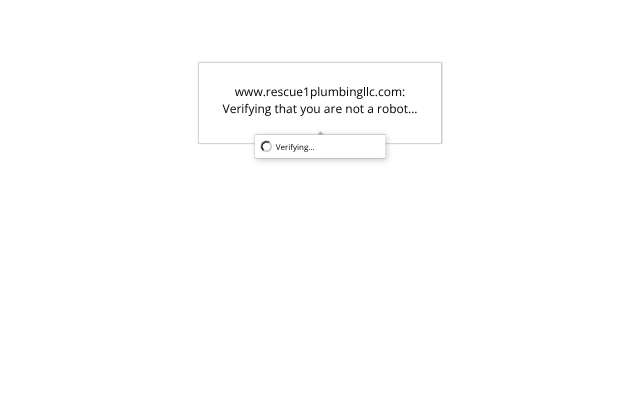 Rescue 1 Plumbing's page as the assistant saw it