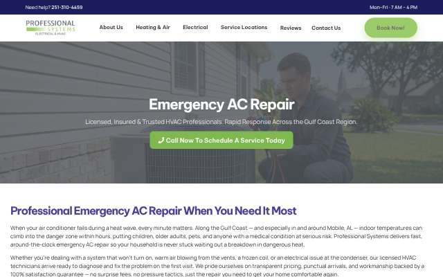 Professional Systems's page as the assistant saw it