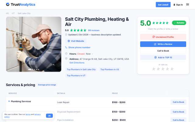 Salt City Plumbing, Heating, and Air's page as the assistant saw it