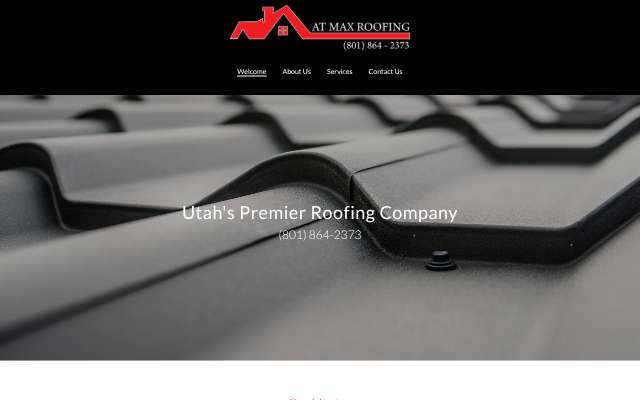 AT Max Roofing's page as the assistant saw it