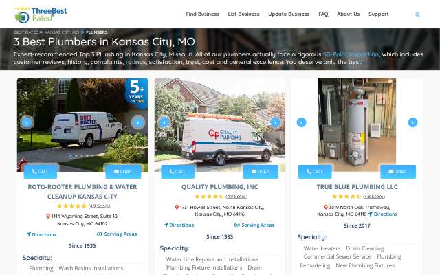 Quality Plumbing, Inc / True Blue Plumbing LLC's page as the assistant saw it