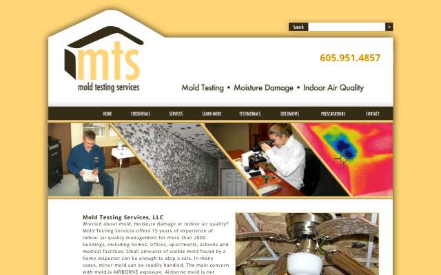 Mold Testing Services (Sioux Falls)'s page as the assistant saw it