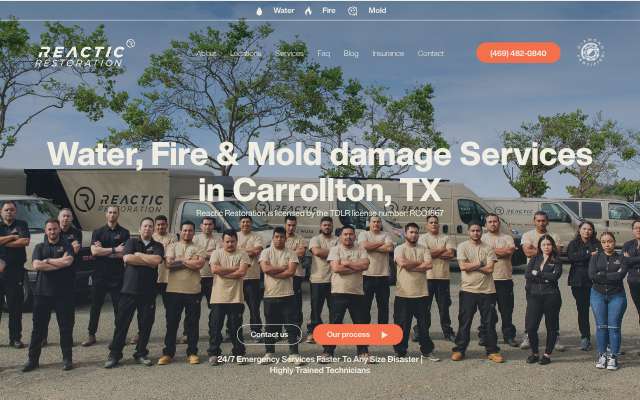 Page cited for Reactic Restoration
