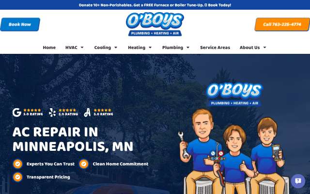 O'Boys Plumbing, Furnace & AC Repair's page as the assistant saw it