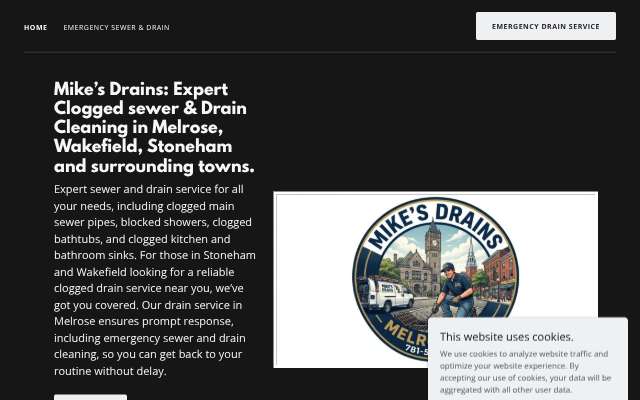 Mike's Drains's page as the assistant saw it