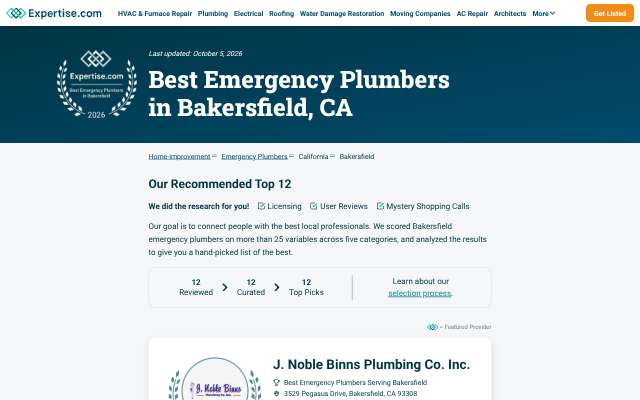 Hometown Plumbing Sewer & Drain Inc.'s page as the assistant saw it