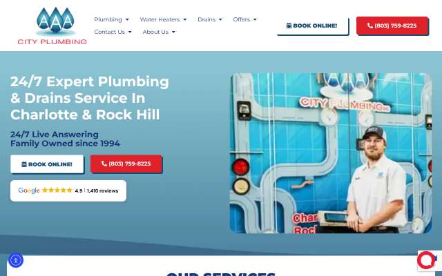 AAA City Plumbing's page as the assistant saw it
