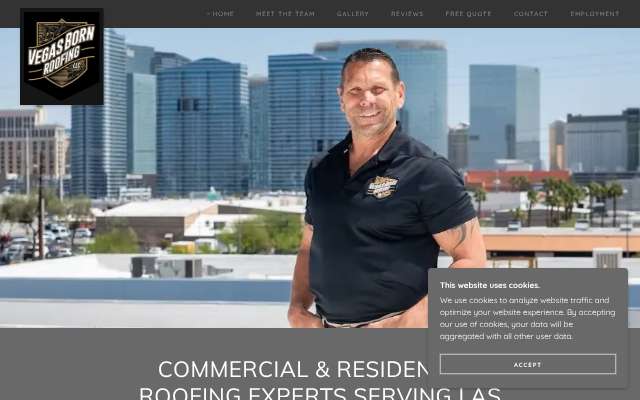 Page cited for Vegas Born Roofing