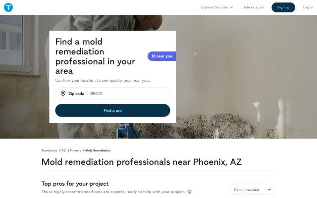 Dire Restoration's page as the assistant saw it