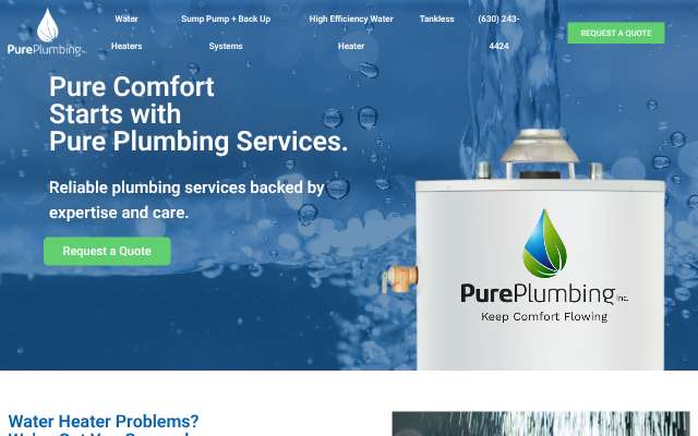 Pure Plumbing Inc's page as the assistant saw it