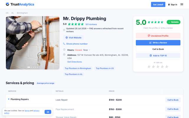 Mr. Drippy Plumbing's page as the assistant saw it