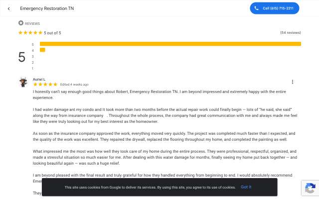 Emergency Restoration TN's page as the assistant saw it