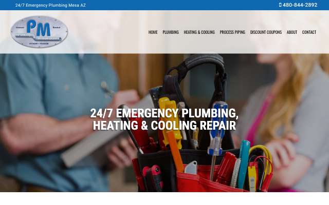 P M Plumbing & Mechanical's page as the assistant saw it