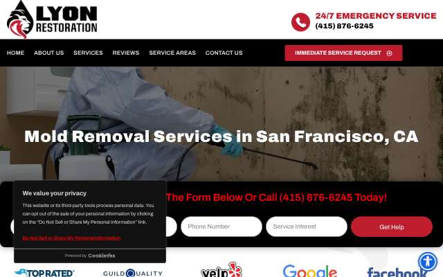 Lyon Restoration's page as the assistant saw it