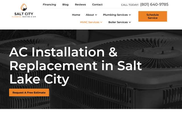 Salt City Plumbing, Heating, and Air's page as the assistant saw it